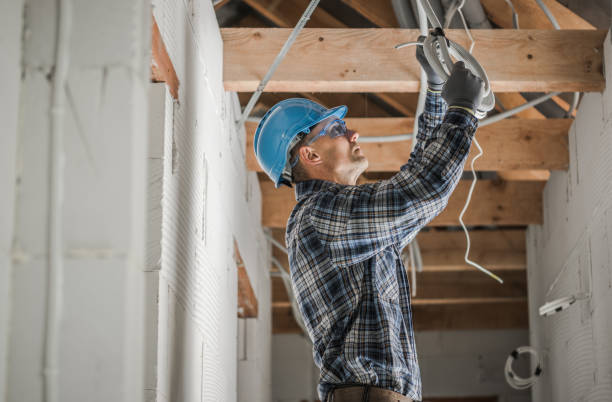 Best Electrical System Inspection  in Irwin, SC